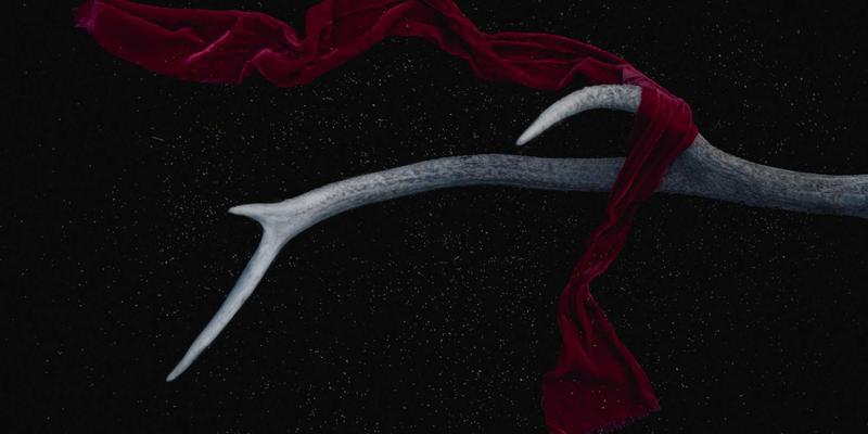 当波西米亚风工业设计遇见精密制造:青岛恩普自动化如何重塑规模化养殖场的生物安全体系