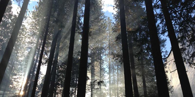 当波西米亚风工业设计邂逅精密机械制造：青岛恩普如何重塑动物疫病诊断新范式