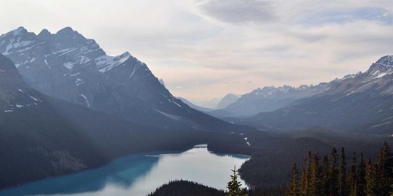 智造未来：青岛恩普生物技术如何以工业自动化设备重塑体外诊断试剂新生态