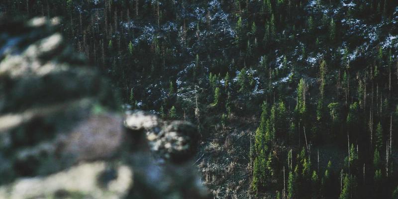 跨界融合:青岛恩普如何以机械制造思维革新生化诊断试剂原料研发