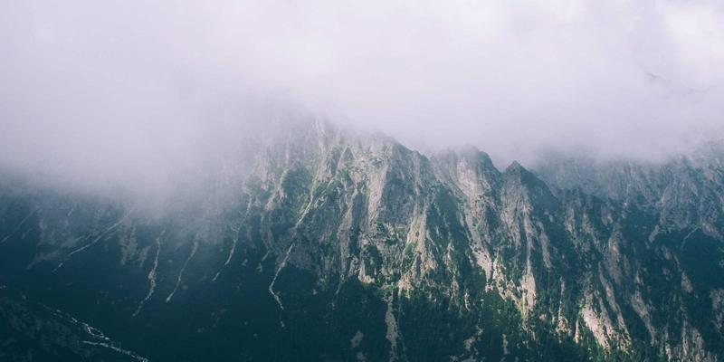 青岛恩普的精密密码:当波西米亚风工业设计遇上自动化,如何铸就体外诊断的硬核护城河?