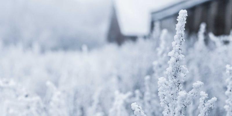 青岛恩普血细胞分析仪：当波西米亚风工业设计邂逅精密机械制造，如何重塑自动化设备市场格局？
